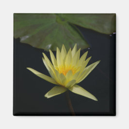 Gele Lotus Waterlily magnet