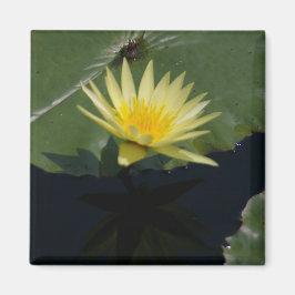 Gele Lotus Waterlily magnet
