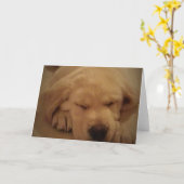 Gele lub puppy Slaping Kaart (Gele Bloem)