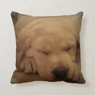 Gele lub puppy Slaping Kussen