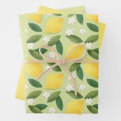 Gele luiken, groene bladeren en witte bloemen inpakpapier vel (In situ)