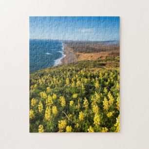 Gele lupine boven Point Reyes Beach bij Point Legpuzzel