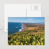 Gele lupine boven punt Reyes Beach op punt Briefkaart (Voorkant / Achterkant)