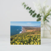 Gele lupine boven punt Reyes Beach op punt Briefkaart (Staand voorkant)