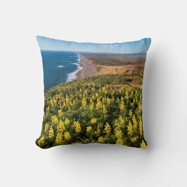 Gele lupine boven punt Reyes Beach op punt Kussen (Voorkant)