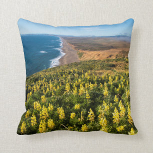 Gele lupine boven punt Reyes Beach op punt Kussen