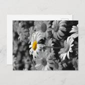 Gele maaltijd in een zee zwarte en witte maissoort briefkaart (Voorkant / Achterkant)