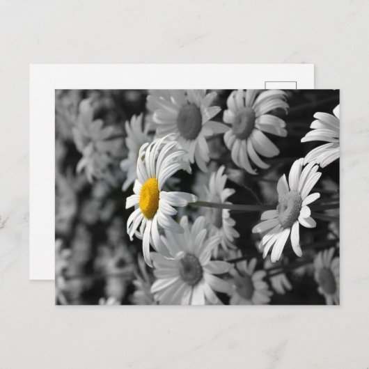 Gele maaltijd in een zee zwarte en witte maissoort briefkaart (Voorkant / Achterkant)