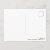 Gele maaltijd in een zee zwarte en witte maissoort briefkaart (Achterkant)