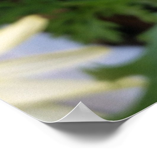 gele maaltijd poster (Hoek)