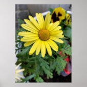 gele maaltijd poster (Voorkant)