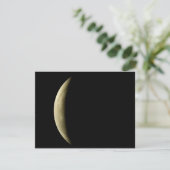 gele-maansverduistering (Staand voorkant)