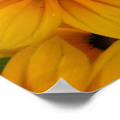 gele madeliefjes poster (Hoek)