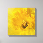 gele maffodil canvas afdruk (Voorkant)