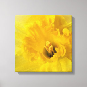 gele maffodil canvas afdruk