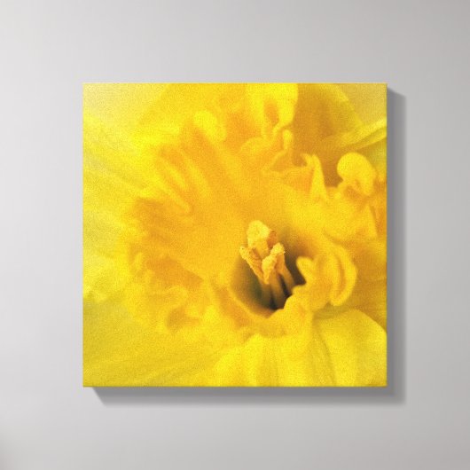 gele maffodil canvas afdruk (Voorkant)