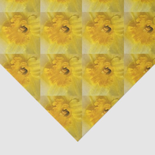 gele maffodil tissuepapier (Detail)