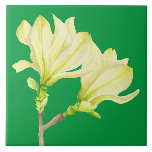 Gele Magnolias op een keramische Tegel (1G) Tegeltje (Voorkant)