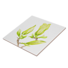 Gele Magnolias op een keramische Tegel (2 W) Tegeltje