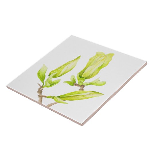 Gele Magnolias op een keramische Tegel (2 W) Tegeltje (Zijkant)