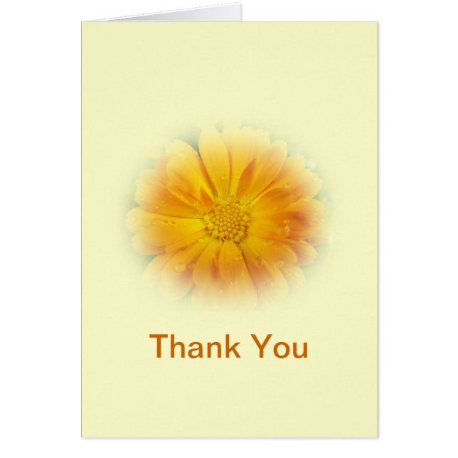  gele maisbloem (Voorkant)