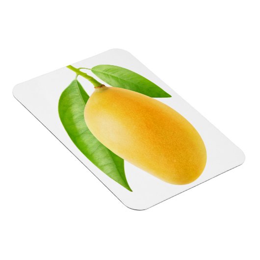 Gele mango magneet (Rechterzijde)