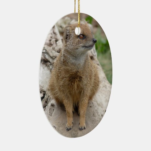 gele mangoest keramisch ornament (Rechts)