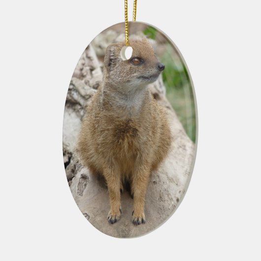 gele mangoest keramisch ornament (Links)