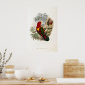 Gele Mantel Lory van John Gould Poster (Keuken)