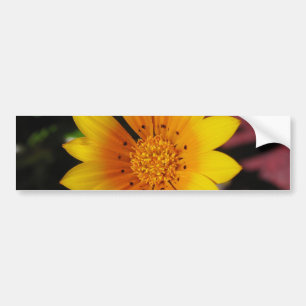 Gele Margriet Bumpersticker