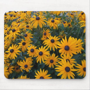 Gele margriet tuin bloemen. muismat