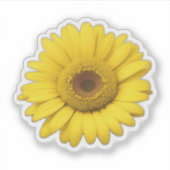 Gele Margrietblaadjes Sticker (Voorkant)