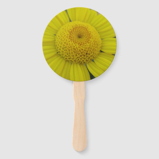  gele marguerite handwaaier (Voorkant)