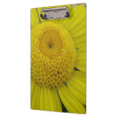 gele marguerite klembord (Links)