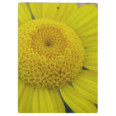 gele marguerite klembord (Achterkant)