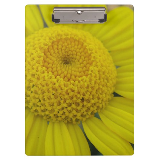 gele marguerite klembord (Voorkant)