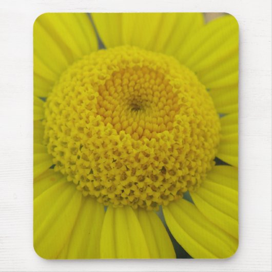 gele marguerite muismat (Voorkant)