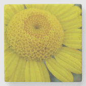 gele marguerite stenen onderzetter (Voorkant)