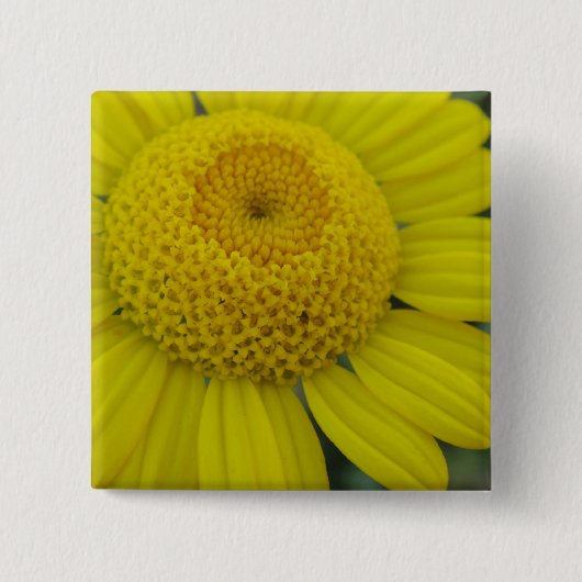 gele marguerite vierkante button 5,1 cm (Voorkant)