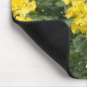 Gele mariged met Muismat voor regendruppels (Hoek)