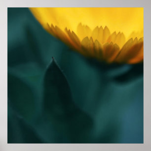 Gele mariglod Flower Macro Abstract Poster