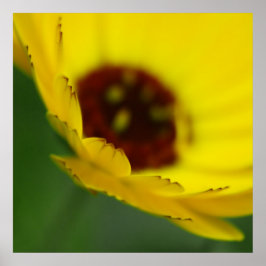 Gele mariglod Flower Petals Macro Abstract Poster