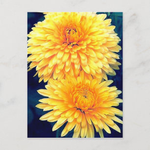 Gele marigold briefkaart