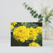 Gele marigold Flowers Briefkaart (Staand voorkant)