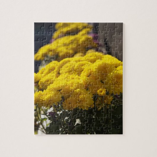Gele mariniers basken in zonlicht legpuzzel (Verticaal)
