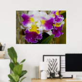 Gele maroon en witte orchidee Poster (Thuiskantoor)
