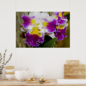 Gele maroon en witte orchidee Poster (Keuken)