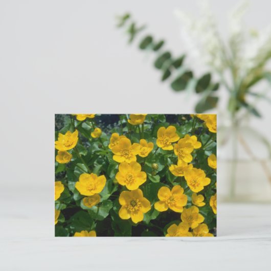 gele Marsh marigold bloemen Briefkaart (Staand voorkant)