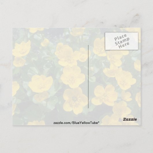 gele Marsh marigold bloemen Briefkaart (Achterkant)