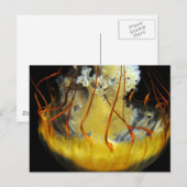 Gele Medusa Jellyfish Briefkaart (Voorkant / Achterkant)